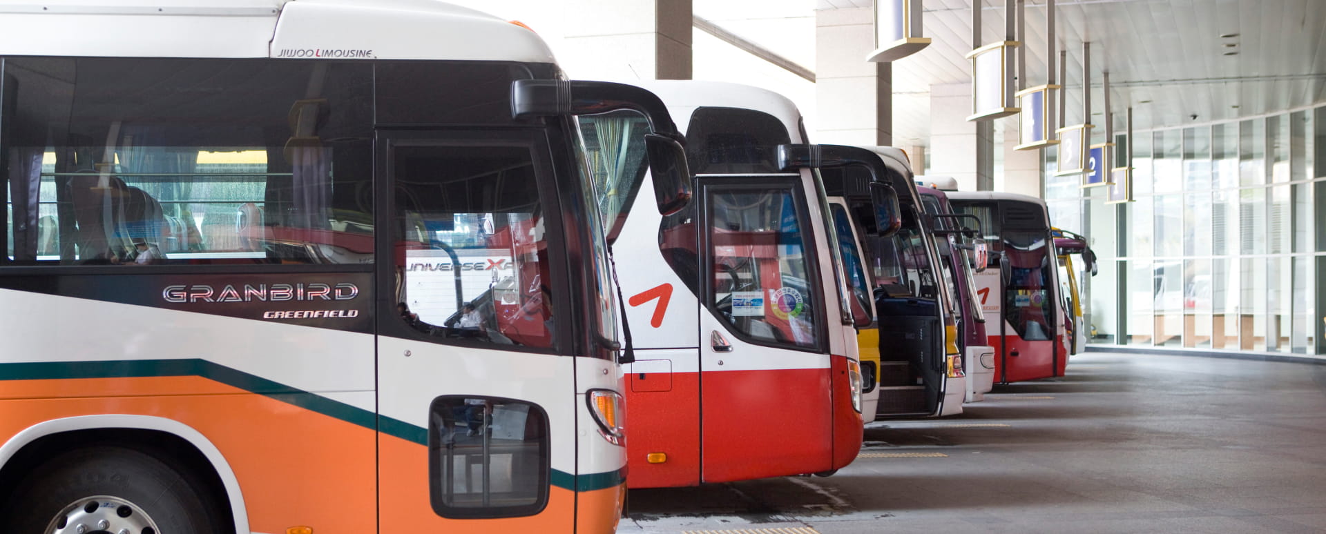 Airport shuttle buses lined up at the boarding area.