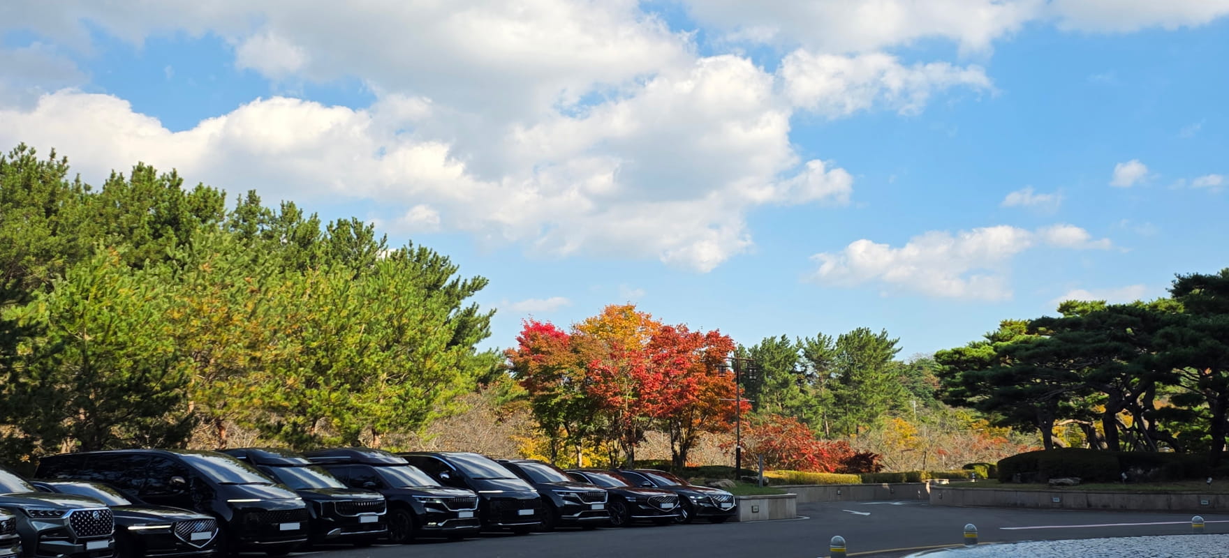 A diverse lineup of mobility vehicles including SUVs and vans parked in a scenic outdoor staging area for the APEC Korea summit.